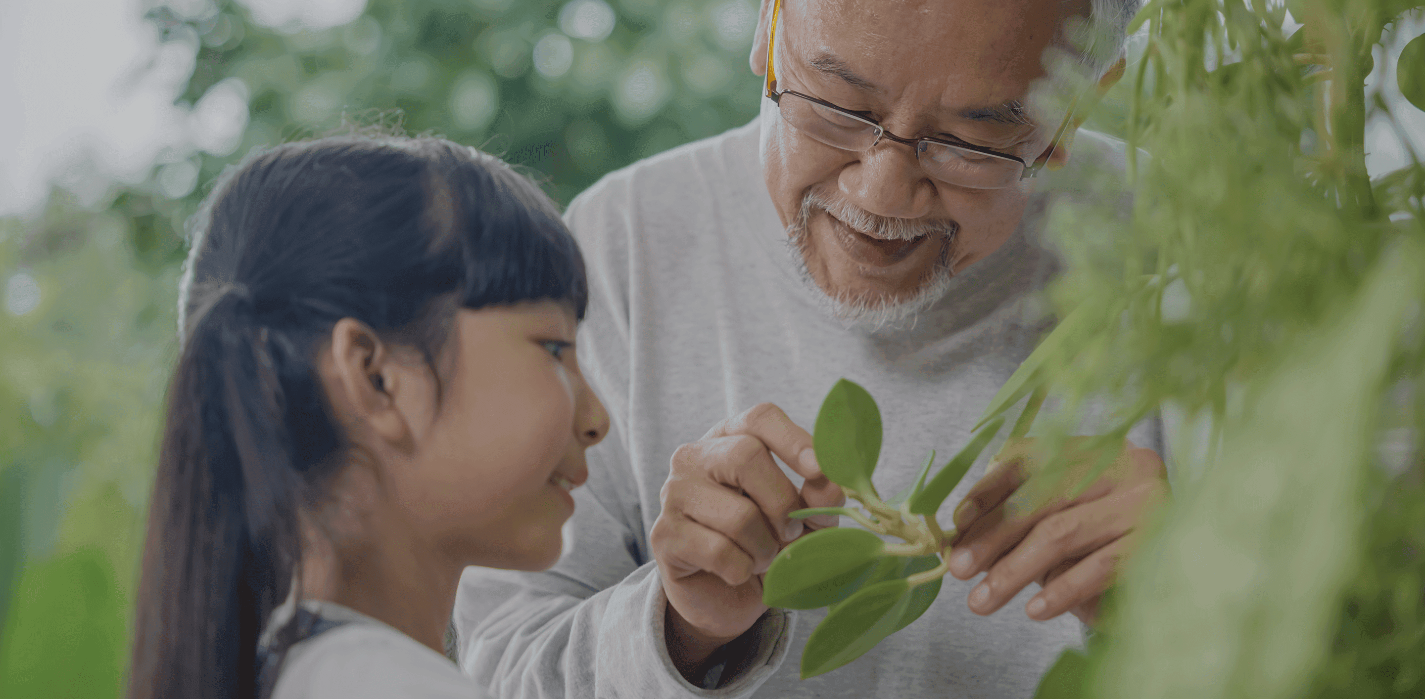 Designing for the Silver Generation Report