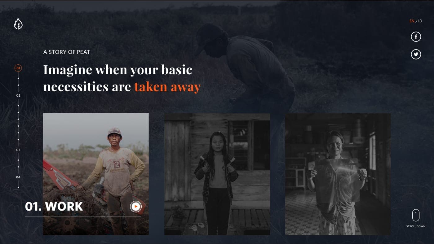 Web Image 1