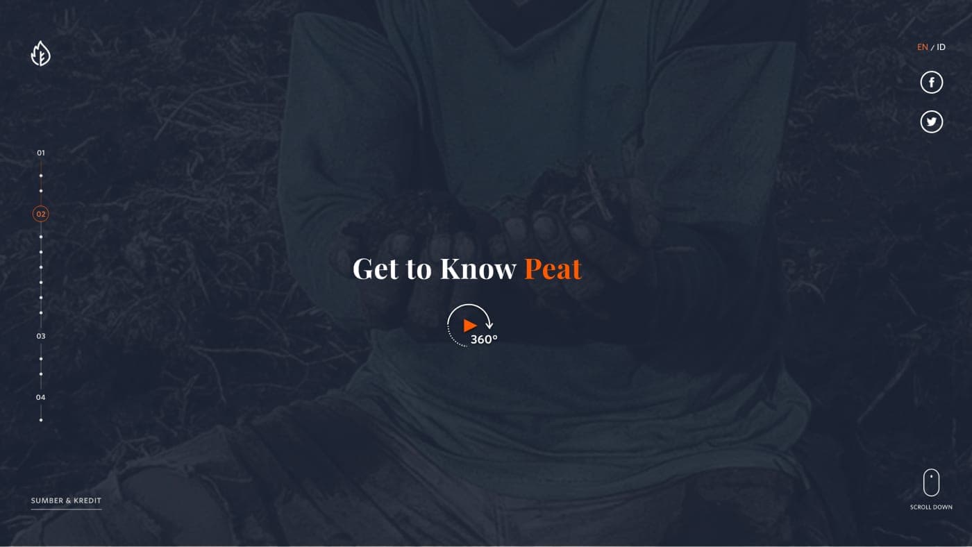 Web Image 3