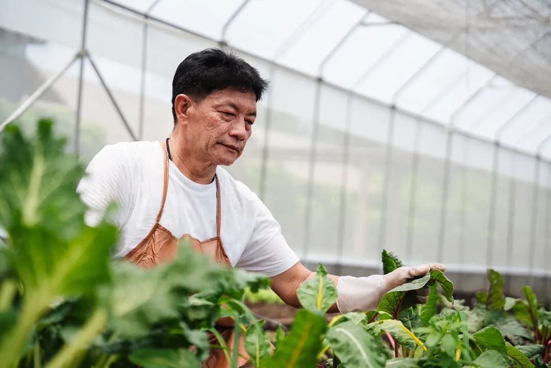 AI for the Unbanked: How Technology Can Empower Rural Entrepreneurs